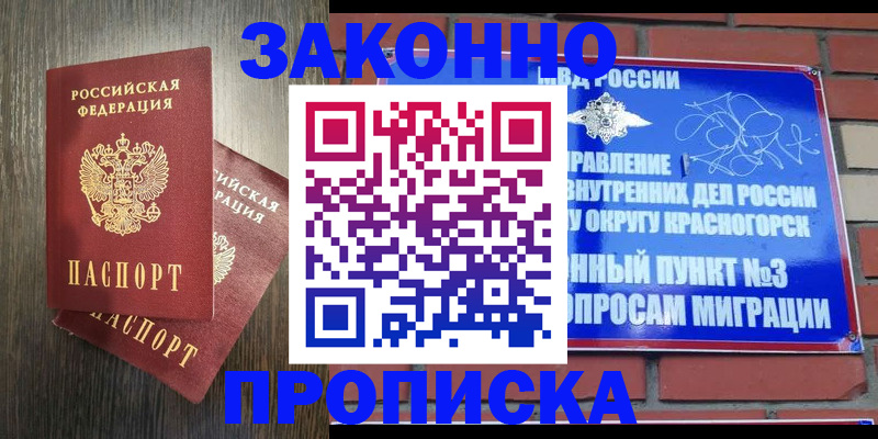 временная прописка в Щёлково